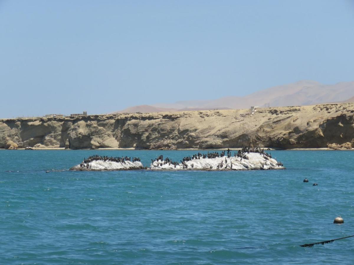 Paracas Apartment Eksteriør billede